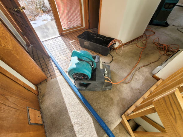 Best Water damage cleanup near me  in Mascot, TN