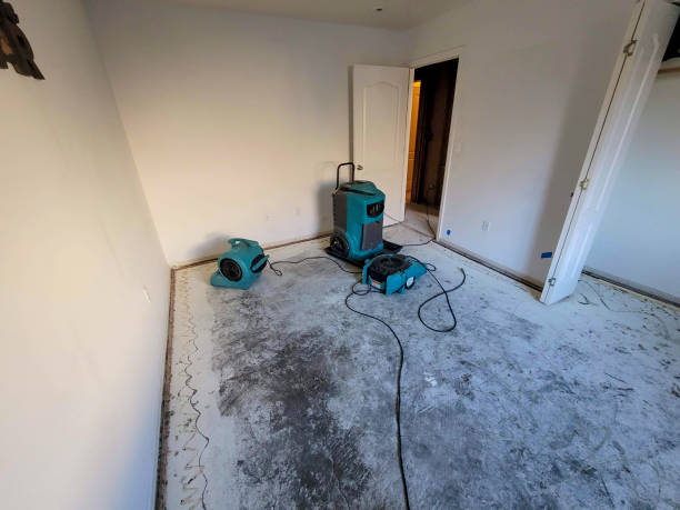 Best 24/7 water damage repair  in Mascot, TN