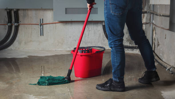 Best Flood restoration services  in Mascot, TN