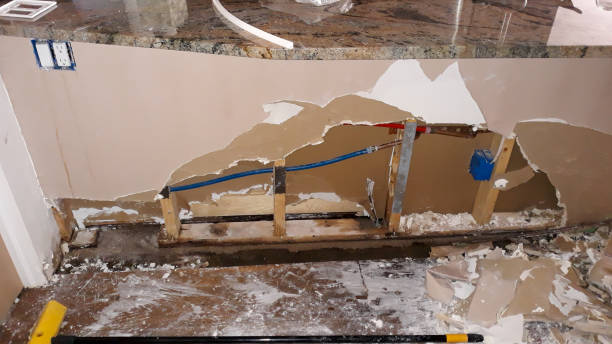 Best Local water damage restoration  in Mascot, TN