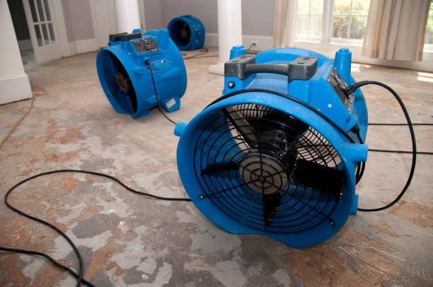 Best Water damage restoration near me  in Mascot, TN