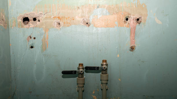 Best Water damage restoration specialists  in Mascot, TN
