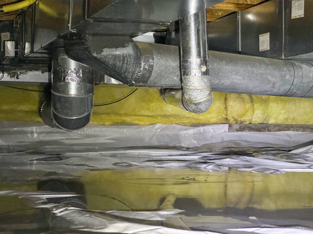 Best Water damage restoration process  in Mascot, TN